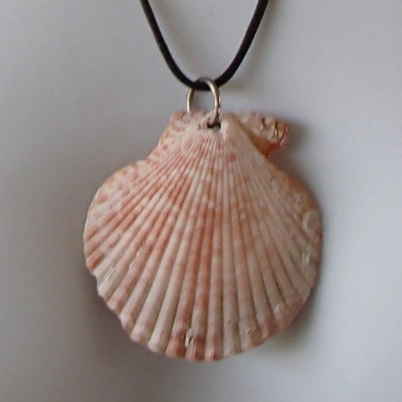 Nautical Scallop Seashell Adjustable Necklace and 4 Pair of Earrings Handcrafted - Picture 8 of 9